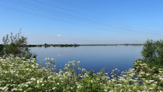 Sfeerbeeld van het Foxholstermeer in de zomer.