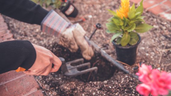 Sfeerbeeld van iemand die een gat graaft in de tuin om een plant in te zetten.