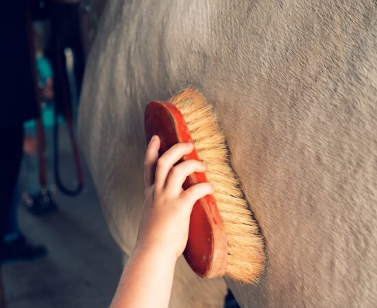Decoratieve afbeelding van iemand die een paard borstelt.