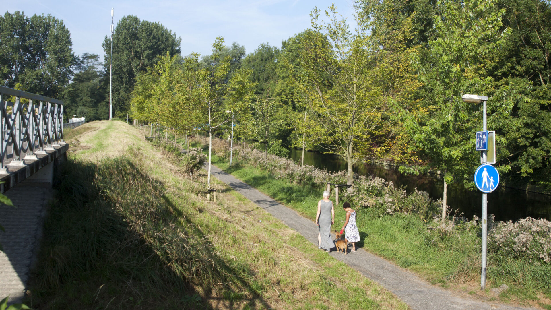 Decoratieve foto van een mevrouw en een kind die samen aan het wandelen zijn met een hond