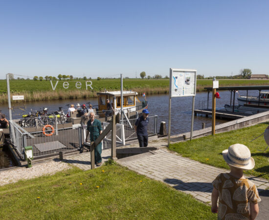 Decoratieve afbeelding van het pondje de Veer