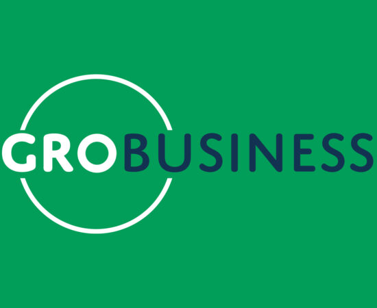 Logo van GroBusiness