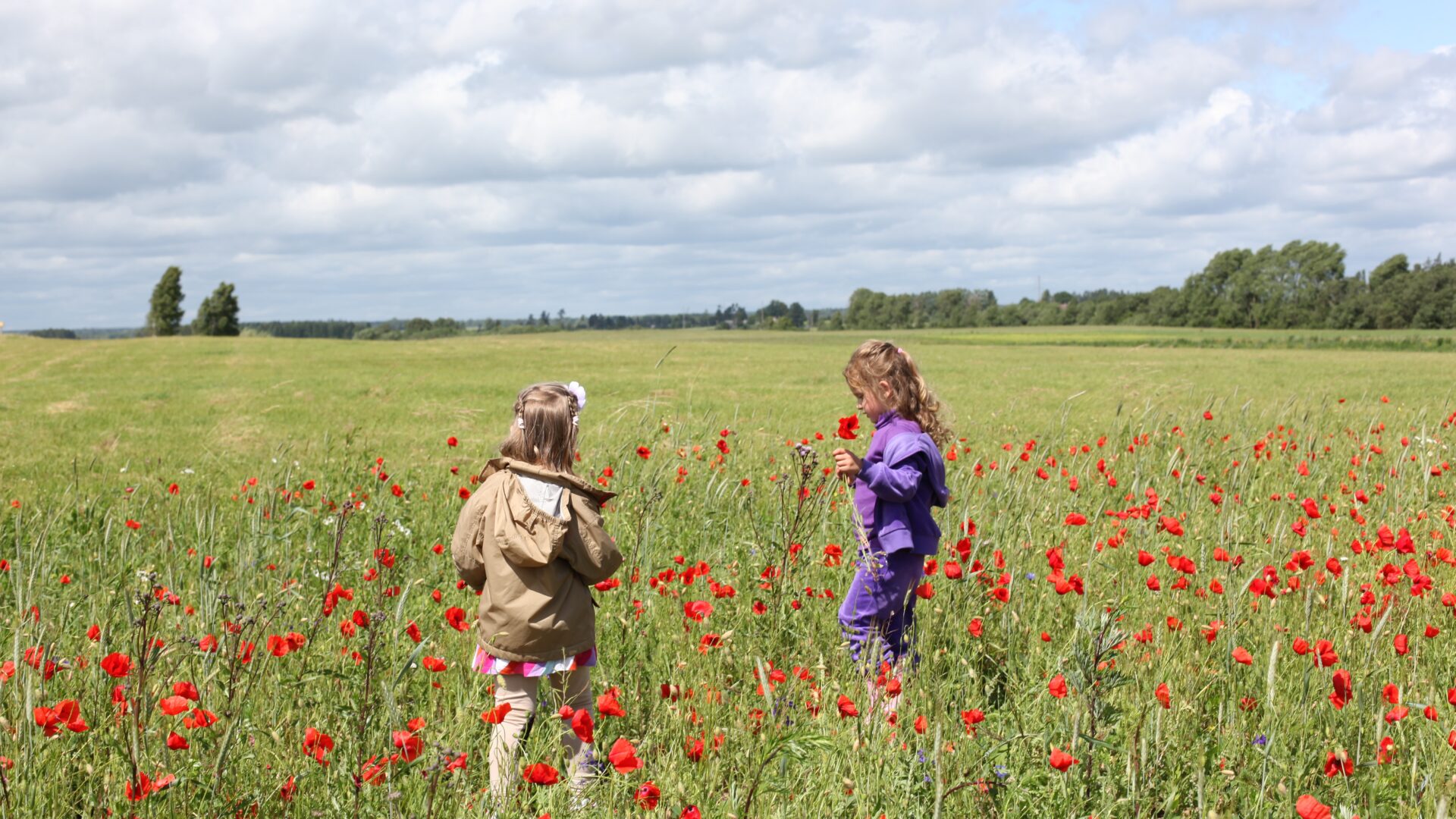 Decoratieve afbeelding van kinderen die spelen in een bloeiende akkerrand