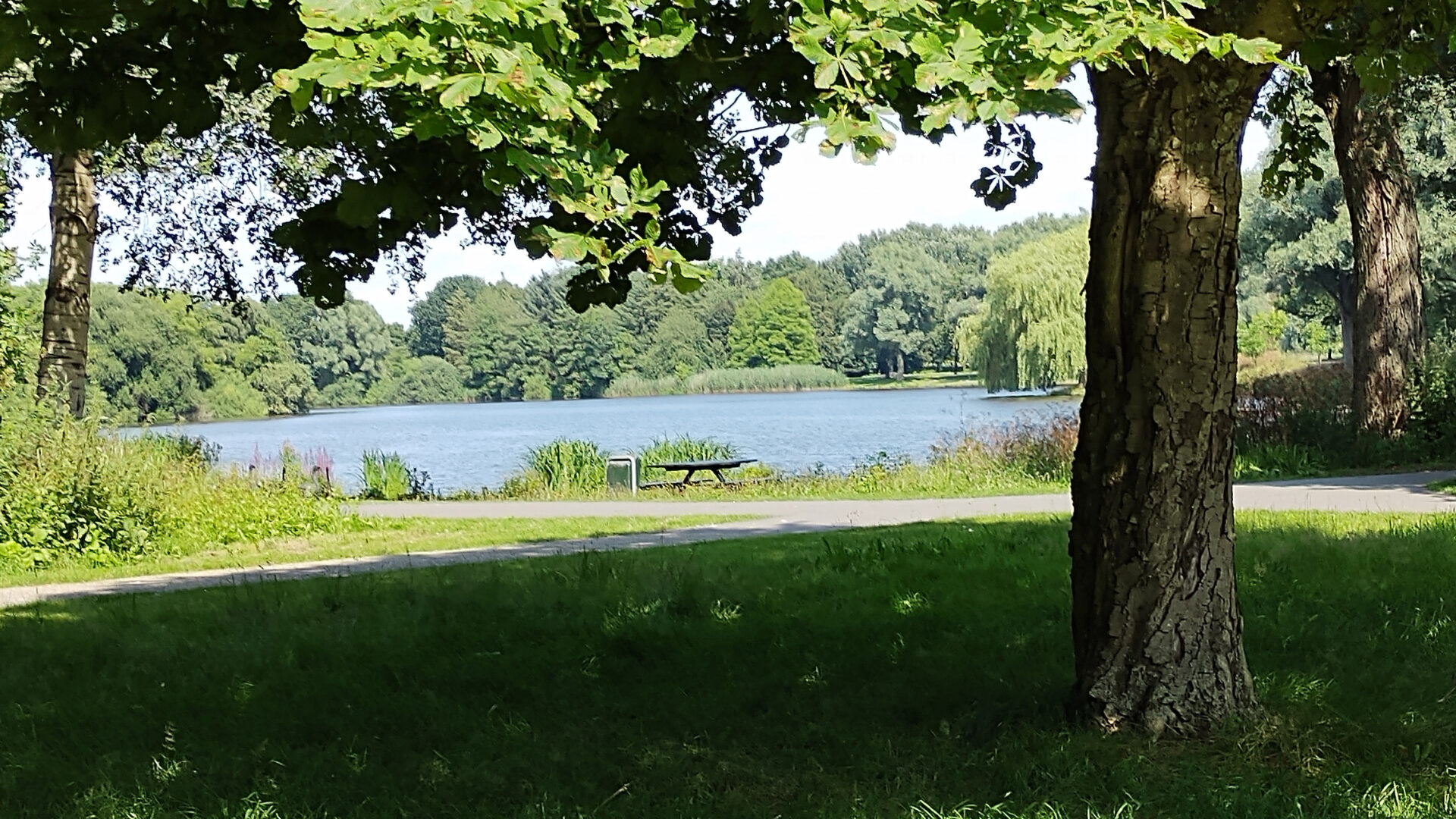 Decoratieve afbeelding van het de plek waar het beweegpark moet komen