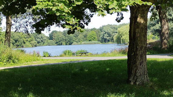 Decoratieve afbeelding van het de plek waar het beweegpark moet komen