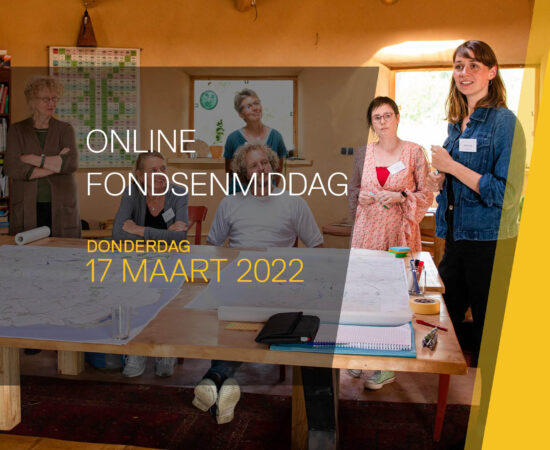 Afbeeling met de tekst: Online Fondsenmiddag, donderdag 17 maart 2022