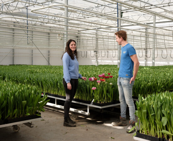 Thea Buseman met een collega in de kas