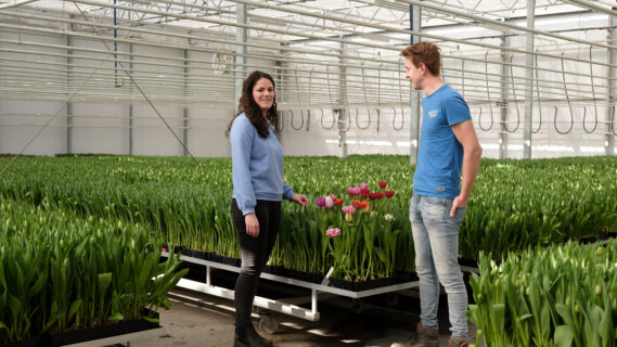 Thea Buseman met een collega in de kas