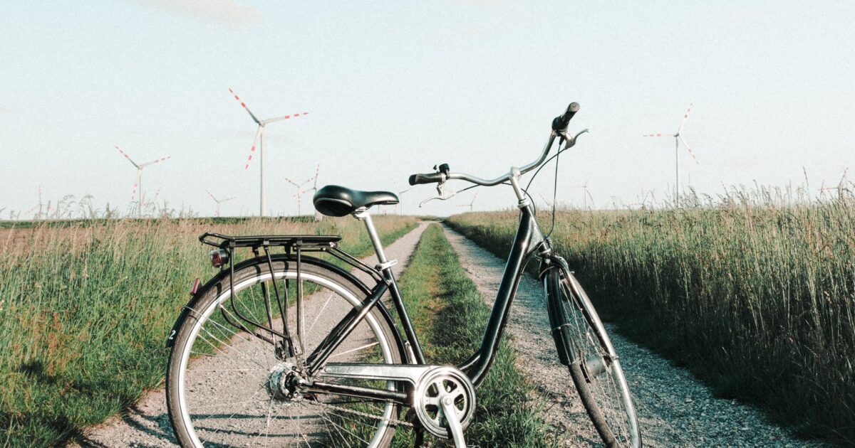 Fietsverhuur Zoutkamp