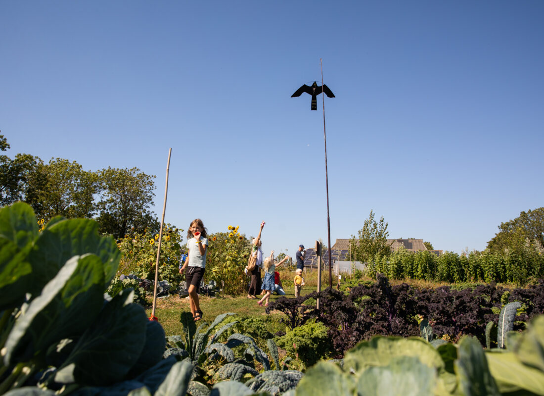 Kinderen tijdens het Oogstfeest van Groninger Voedseltuinen