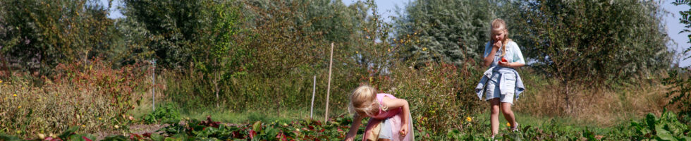 Twee kinderen plukken groenten tijdens het Oogstfeest