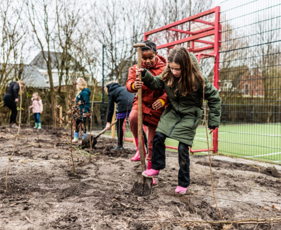 Kinderen planten tiny forest