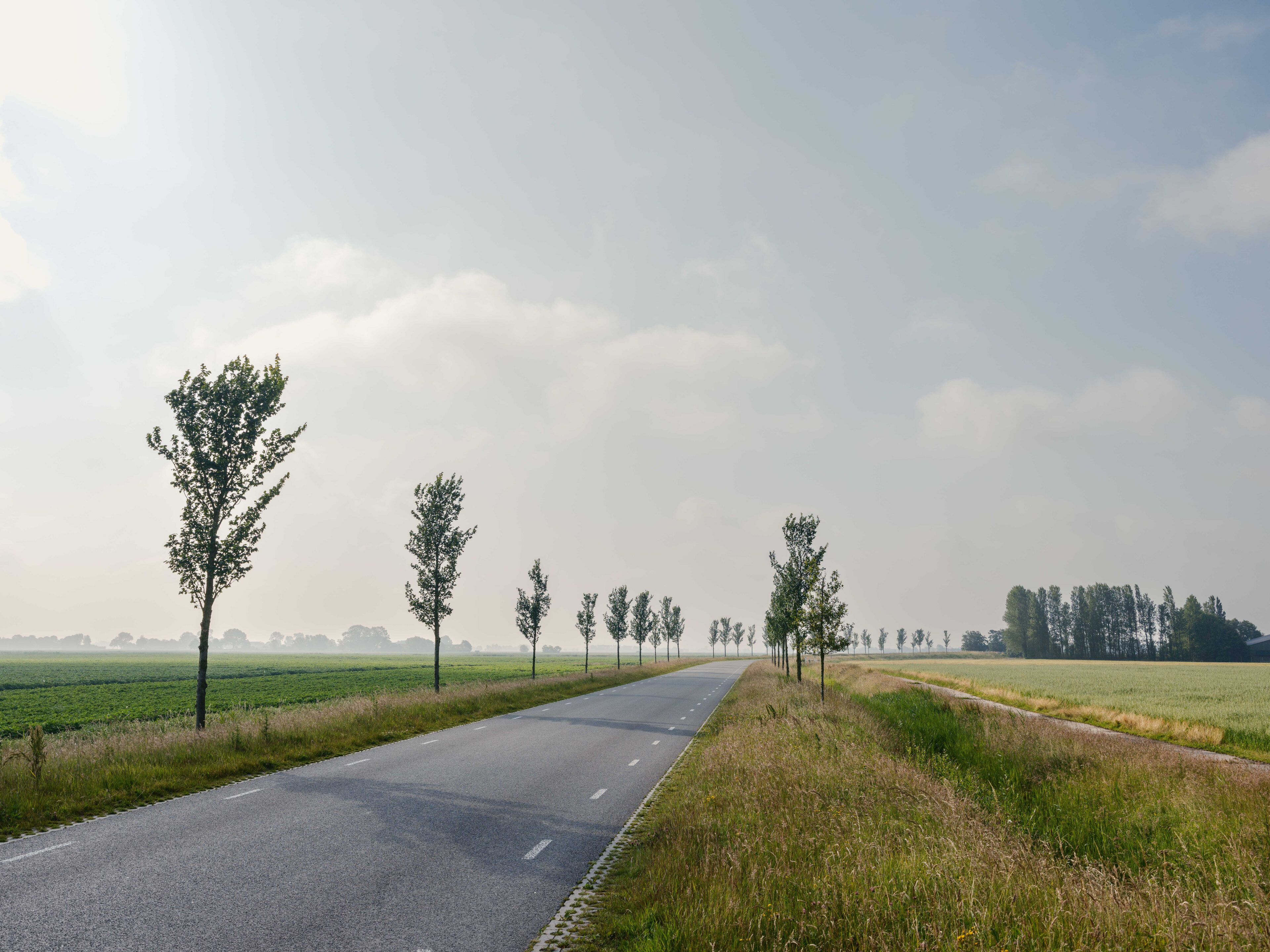 Initiatief Bermen komen tot Leven