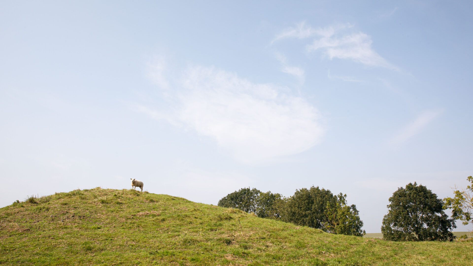 Initiatief van Aa naar Zee