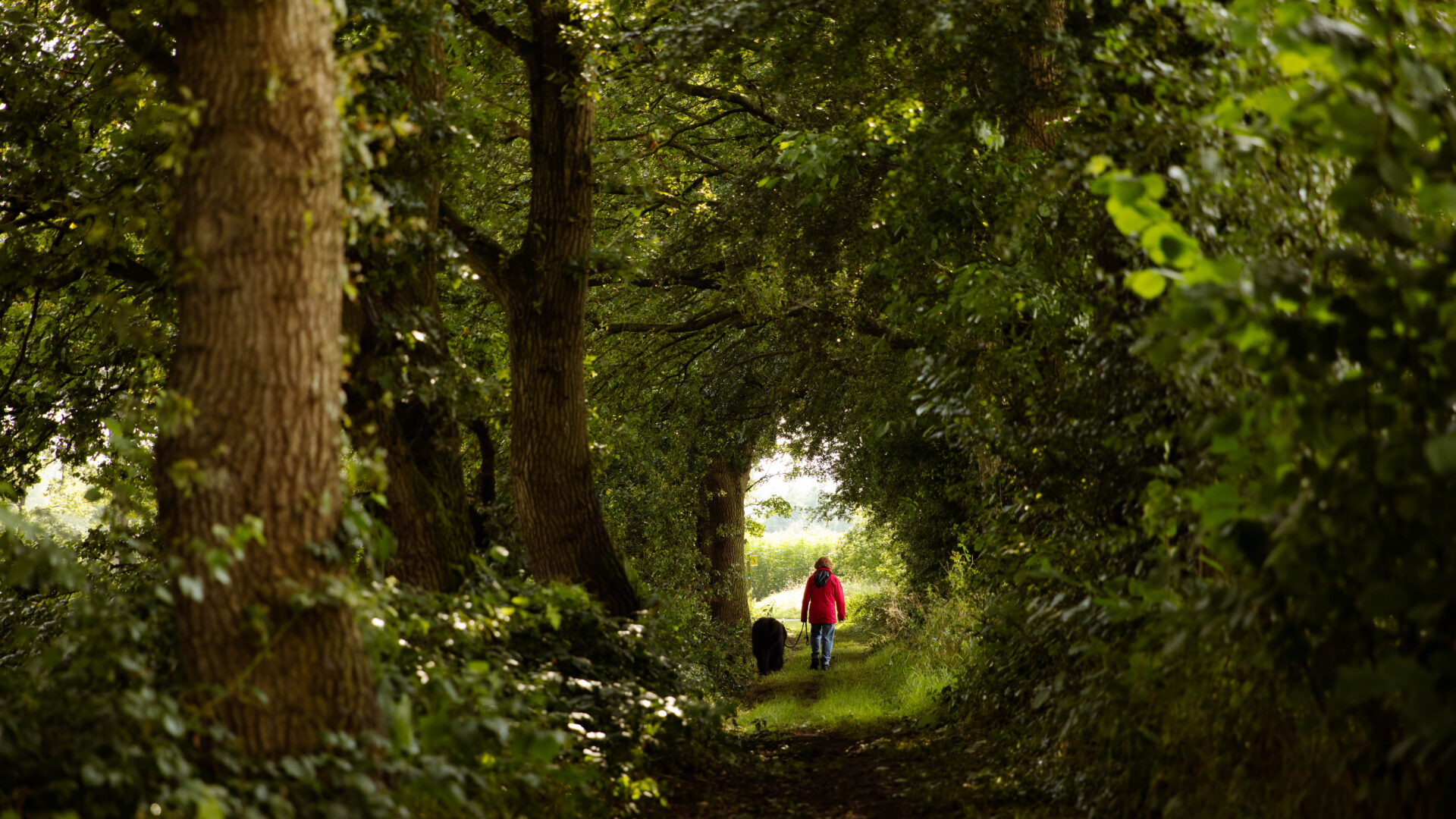 Initiatief Groene Longen & Tiny Forests