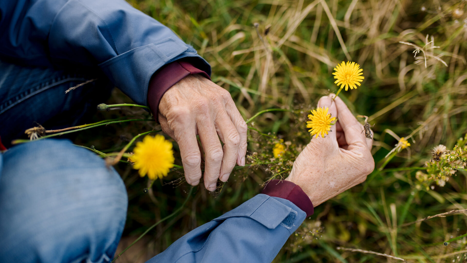 Initiatief Verbonden Biodiversiteit