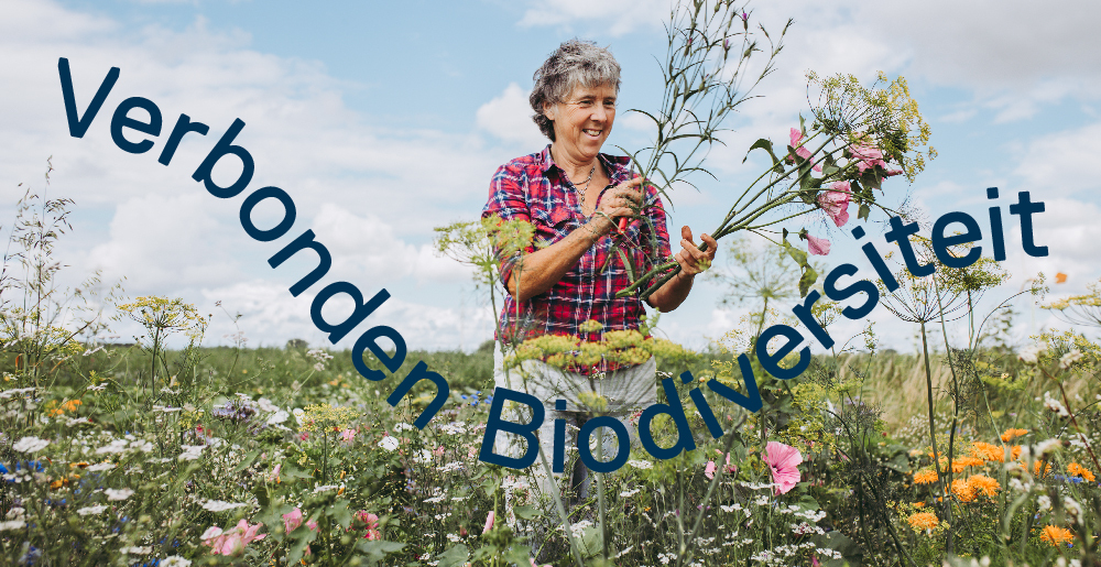 Verbonden Biodiversiteit