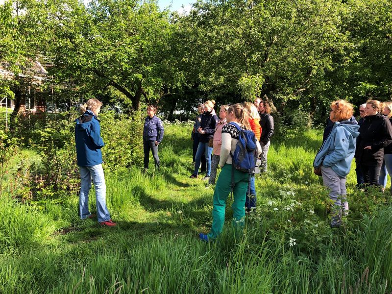 Workshop of een erf - Toukomstproject Mooi Heem