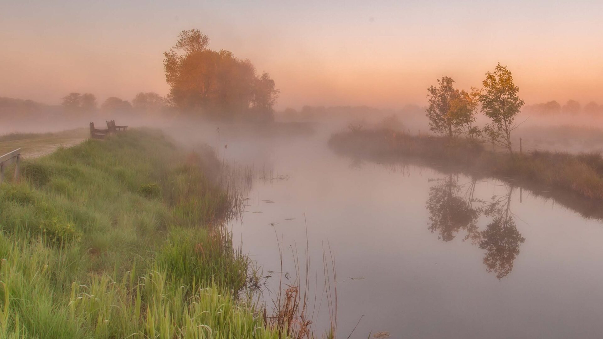 't Roegwold, Woudbloem