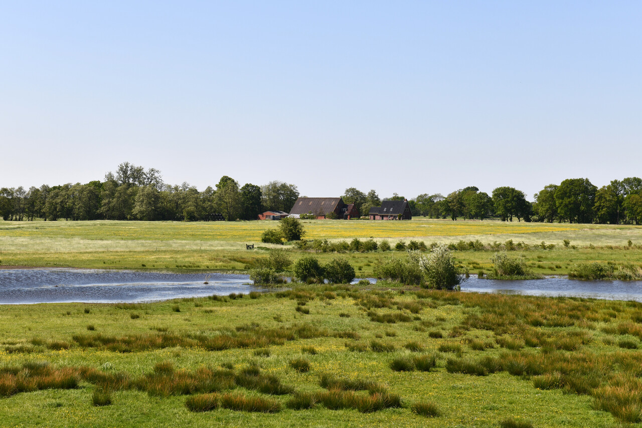 Landelijk-natuur