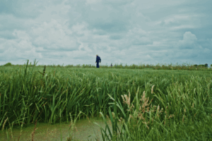 Filmpremiere ‘De stem van het Landschap’ van Toukomstproject de Landschapswerkplaats