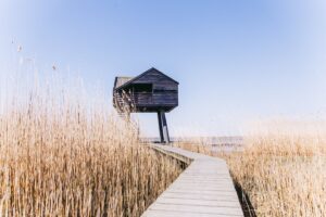 Bezoek Touripedia Live