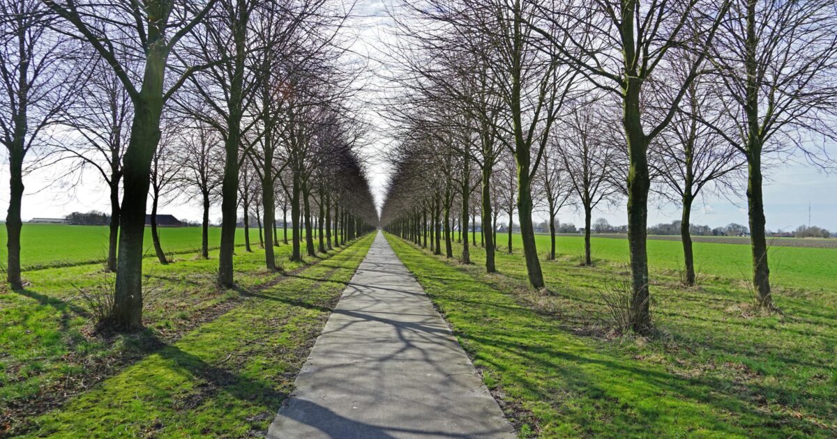 Van verloren borg naar nieuwe ontmoetingsplek